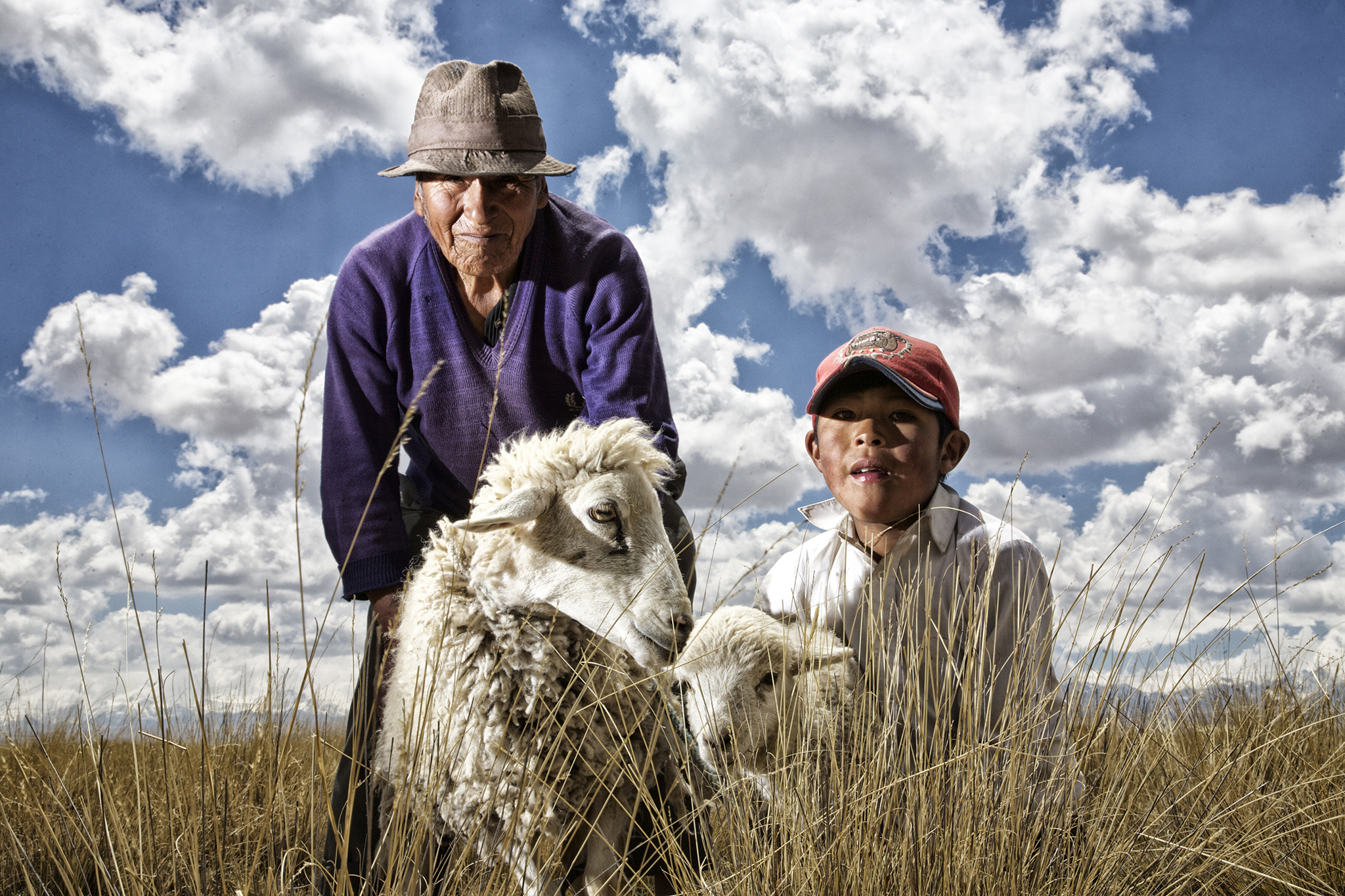 Photo d'un petit garçon, son grand père et 2 chèvres à la campgagne