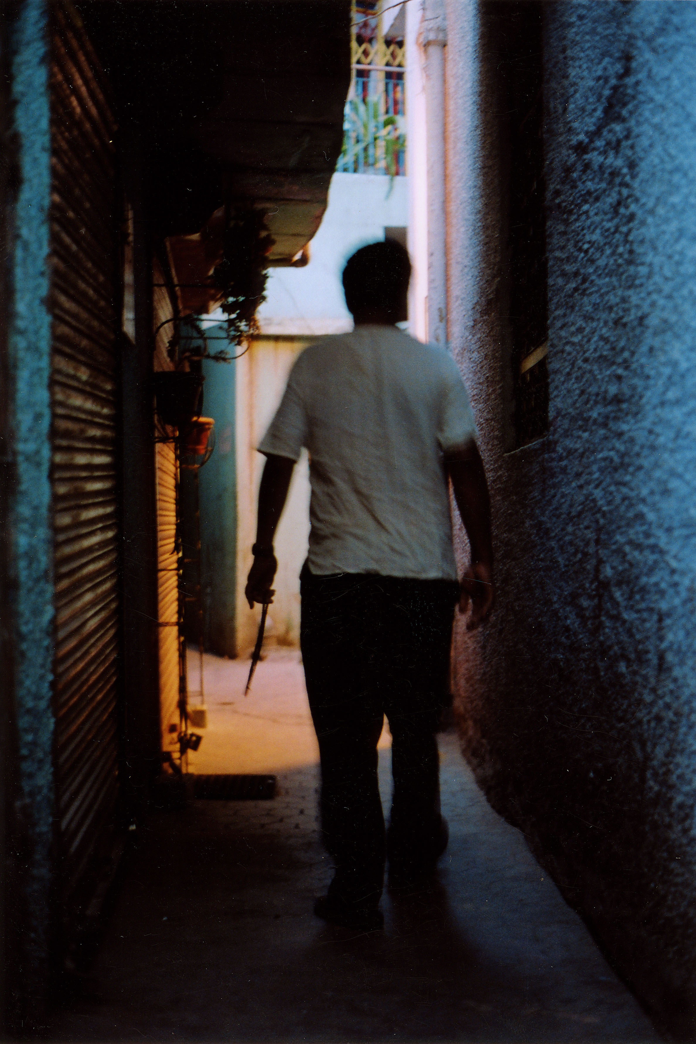 Photo d'un petit garçon, son grand père et 2 chèvres à la campgagne